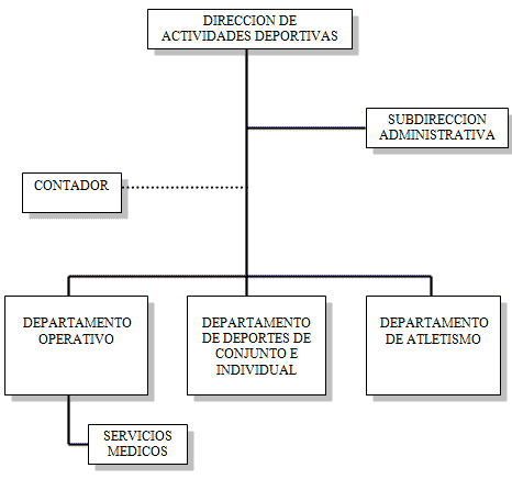 Organigrama